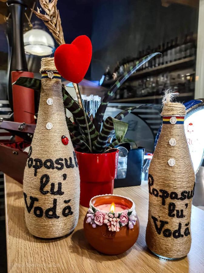 Popasul Lu' Voda Борша Экстерьер фото