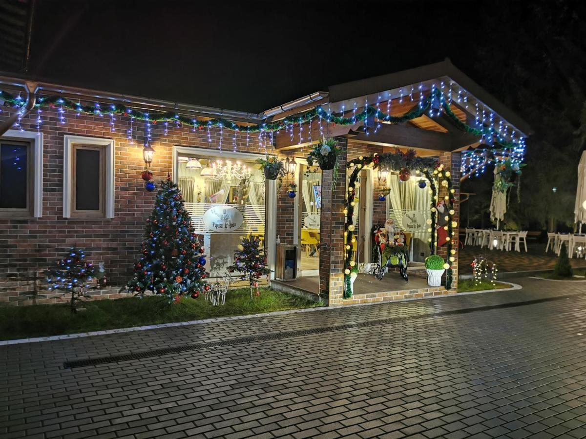 Popasul Lu' Voda Борша Экстерьер фото